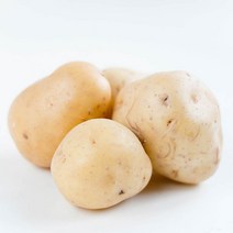 감자 1kg 신선채소 모음, 1개