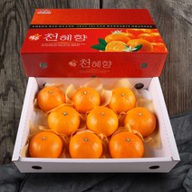 [올찬농산] 천혜향 선물세트(왕특대/특대) 3kg(8~13과) / 제주직송, 상세 설명 참조
