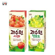남양 과수원 190mlx48팩(2박스) 4종선택1, 1개, 과수원 사과24팩+청포도24팩