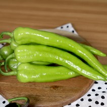당일수확 아삭아삭 강원도 햇 할라피뇨 당조고추 파프리카고추 1kg, 당조고추 1kg