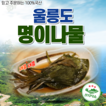 찬우물김치 열무김치, 10kg, 1개