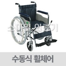 대세엠케어 스틸 휠체어 PARTNER P1001 ( 일반형 ), 500 수량X좌폭입니다