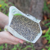 검정 보리쌀 유기농 흑보리쌀 국산 찰보리 햇보리, 검정찰보리(유기농) 1kg