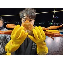 이바다수산 속초 홍게 박달 붉은대게 정품 3kg 산지직송 제철, 활게 프리미엄 박달홍게 3kg(5~7미)
