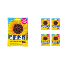 롯데제과 해바라기 초코볼 80g x 5개