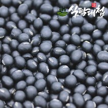 식탐대첩 22년 국내산 약콩 (쥐눈이콩) 1kg, 단품