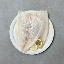 은하수산 제주산 대광어 필렛 550g, 단품
