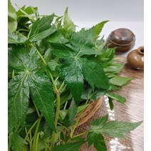 당귀 당귀잎 장아찌 1kg내외 행복한식탁, 1개