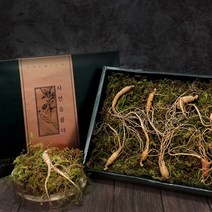 경성건강원 산양삼 장뇌삼 산양산삼 장뇌산삼 강원도 자연산 먹는법 효능 진세노사이드, 총8뿌리