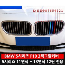 BMW 그릴커버 F10 520D M스타일 전기형 튜닝용품