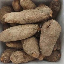 정읍 둥근마 3kg(상품) 둥근대마/오복야, 1개
