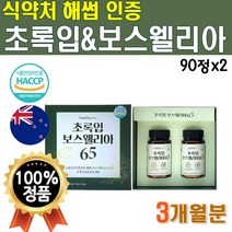 초록잎 초롱이 초록빛 푸른입 홍합 분말 가루 파우더 초록입 초롱잎 성분 청홍합 Green Mussel 부모님 선물 세트 어르신 노인 뉴질랜드산 50대 60대 1박스 3개월 180정