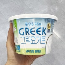 풀무원다논 그릭요거트달지않은플레인 450g x 2개 아이스박스포장