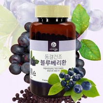 [엠에스몰]강원블루베리 블루베리 환 100g 동결 건조 제품, 1개, 상세페이지 참조