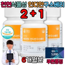 운동선수 고함량 천연 비타민 C 씨군 구스베리 인디안구스베리 약국 성장기 운동 헬스