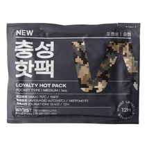 충성 포켓용 핫팩 중형 100g, 10개