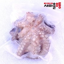냉동 생문어 1마리 400g-500g 내외 모리타니아 마다가스카르 세네갈, 1마리(모리타니아산), 600g~700g(모리타니아산)