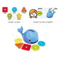 인지발달장난감