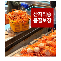 대게찜 포항 죽도시장 구룡포 붉은대게 홍게 제철 당일조업 산지직송 자숙 육수용 프리미엄, 프리미엄 3kg (10~13마리)