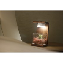 식물 무드등 여자친구선물 집들이선물 센스있는선물 인테리어무드등 특별한선물, 핑크