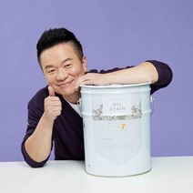 [마이칼라페인트] 방부목 데크오일 프리미엄 오일스테인 20L, 오크색