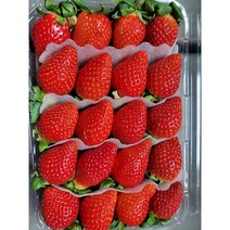 죽향딸기 산지직송 프리미엄 명품 논산딸기, 2kg(상), 1개