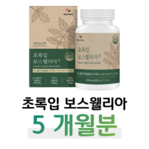 초록 입 홍합 보스웰리아 보스웰릭산 하루 2정 초록홍합 우슬 버드나무 껍질 치커리 홈쇼핑 프리미엄 골드 영양제 성분 가격 효능 비교 등산 트래킹 조깅 런닝, 5개월분, 1000mg x 60정 (하루두알)