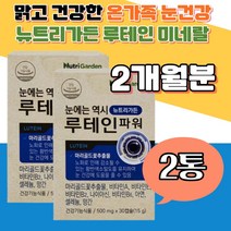 루테인 노화 황반색소 직장인 눈 건강나이아신 중장년 망간 뼈 형성 컴퓨터 비타민B6 셀레늄 야간운전 50대 활력 스마트폰 핸드폰 침침 시각적응 체내 에너지 면역 세포 분열 TV