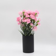 미니 카네이션 (스프레이) 모음 꽃정기구독 생화택배 (고속터미널꽃시장 직배송) 꽃예꽃, 피치색, 취소처리(취소선택시 다른꽃변경불가), 금~일요일 구매시 (화요일 도착)