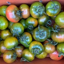 산지직송(하재용농가)-대저짭짤이토마토, 1박스, 대저 토마토 2.5kg(소과)5번 1박스