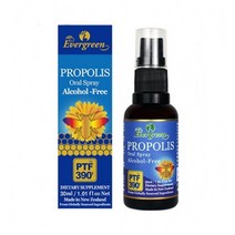 에버그린 프로폴리스 액상 PTF 390 30ml 2팩 알코올 프리 EVERGREEN PROPOLIS SPRAY A/F PTF 390 30ML