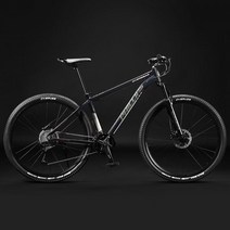 영국 필립스 philips 자전거 giant 펫 mtb 사바파이크 팻바이크, 27 속도E, 29인치