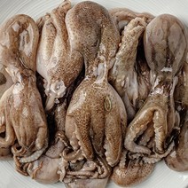 [새벽조업당일발송] 서해안 활주꾸미 쭈꾸미 쭈꾸미볶음 샤브샤브쭈꾸미, 활 주꾸미 1kg