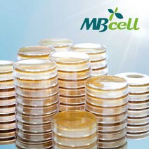 TSA (Tryptic Soy Agar) Plate/ MBcell 미생물 배지/ 생배지-제조된 배지/ 일반세균 배양배지, 50Ea