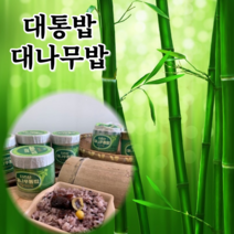 죽통밥 대통밥 대나무밥 즉석밥 4통