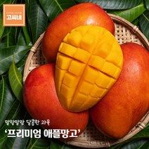 고씨네 특급 사과망고2kg 사과망고 망고 수입망고애플망고 망고포도 애플망고자르는법 냉동망고 망고효능 애플망고후숙 태국망고 제주애플망고 망고쇼핑몰 망고선물세트 제주망고 무지개망고 골드망고 제주도망고 제주도애플망고 애플망고효능 필리핀망고 아이스망고 대만애플망고 카라바, 본상품