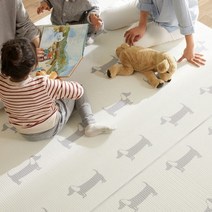 고려화학 층간소음 방지매트 닥스훈트 230x140x1.5cm - 놀이방매트