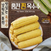 강원도 산지직송 맛있는 홍천 미백 찰 찐 삶은 옥수수 10개 20개 30개 찰옥수수 아이간식 디저트 소울푸드, 강원도 국산 냉동 찐 옥수수30개