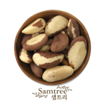 샘트리 브라질너트 1kg - 2021년도산(유통기한2023.11.05), 1개