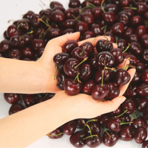 (큰박스 과일 도매) 체리 넉넉한 프리미엄 고당도 생체리 미국산 왕체리, 3kg - 9ROW