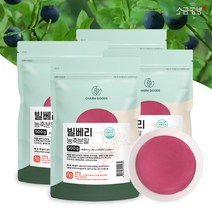 빌베리 농축분말 파우더 와일드 블루베리 500g, 4팩