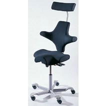 하그 카피스코 HAG Capisco 8107 패브릭 블랙