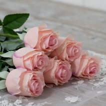 아인플라워 생화같은 장미 조화 6P, 베이비핑크