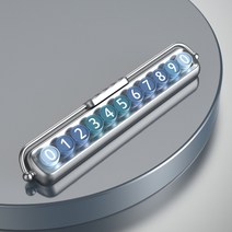 민트스타 차량용 야광 주차번호판, 블루