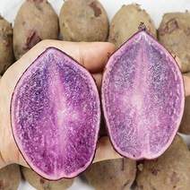 [장보리] 충북 괴산 햇 자영감자 대왕 5kg, 상세 설명 참조