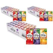 키워도 사무실 탕비실 업소용 학생 직장인 간식 리이브 사과 8팩 + 포도 8팩 + 제주감귤 8팩 (190ml) 190ml, 3세트