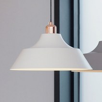 공간조명 로레이 1등 펜던트 LED 북유럽 인테리어 식탁조명 로즈골드, 로즈골드 + LED 볼전구 10W [하얀불]