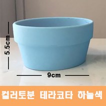 컬러 토분(하늘색) 화분 미니토분 다육이 테라코타[지름9cmX높이5.5cm] 수입도매