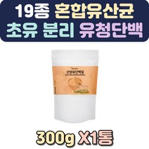 식물성단백질파우더 프로틴음료 단백질파우더 초유밀 초유 노인단백질보충제 편의점단백질음료 산양유단백 한끼대용쉐이크 부모님단백질 식사대용 단백질음료 임산부단백질 초유영양제 수입프로틴
