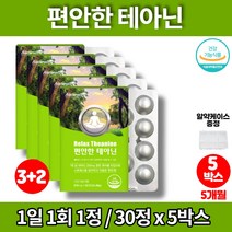 엘테아닌 THEANINE 직장인 스트레스 릴렉스 알파파 수험생 청소년 중학생 고등학생 고3 대학생 발표 긴장 영양제 GLM 청사과 멘톨 자일리톨, 5박스